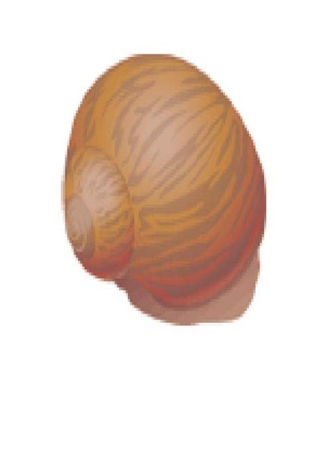 إشا علاج إيشا جاستروپكس للقواقع المائية 10 مل - Image 2